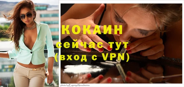 каннабис Новозыбков
