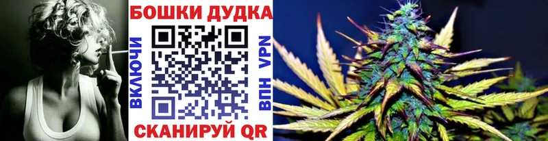 где найти наркотики  Макарьев  Каннабис конопля 